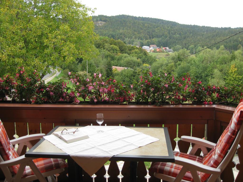 Apartmán Haus Am Kreuzbuehl Dachsberg im Schwarzwald Exteriér fotografie