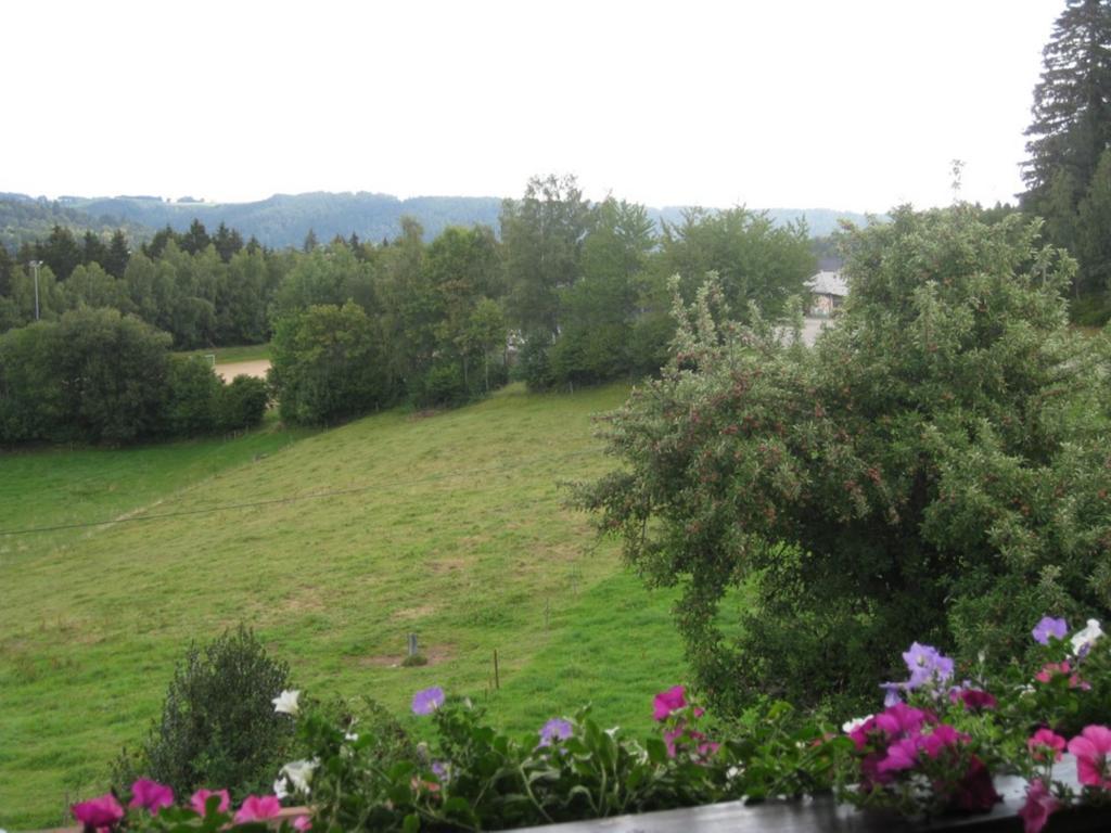 Apartmán Haus Am Kreuzbuehl Dachsberg im Schwarzwald Exteriér fotografie