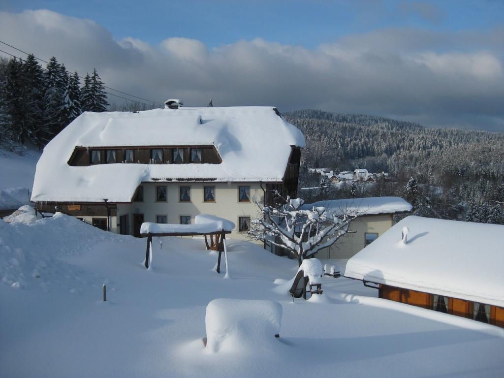 Apartmán Haus Am Kreuzbuehl Dachsberg im Schwarzwald Exteriér fotografie