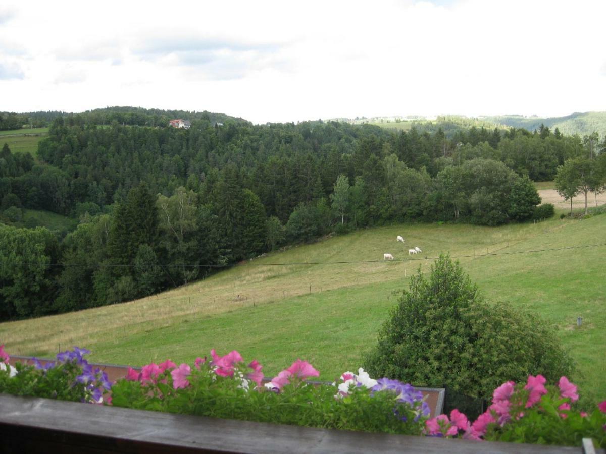 Apartmán Haus Am Kreuzbuehl Dachsberg im Schwarzwald Exteriér fotografie