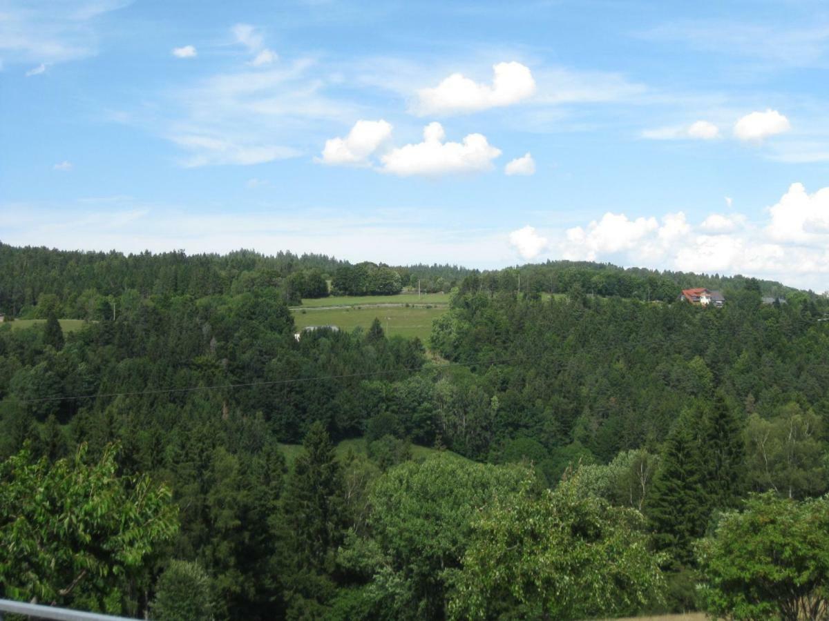 Apartmán Haus Am Kreuzbuehl Dachsberg im Schwarzwald Exteriér fotografie